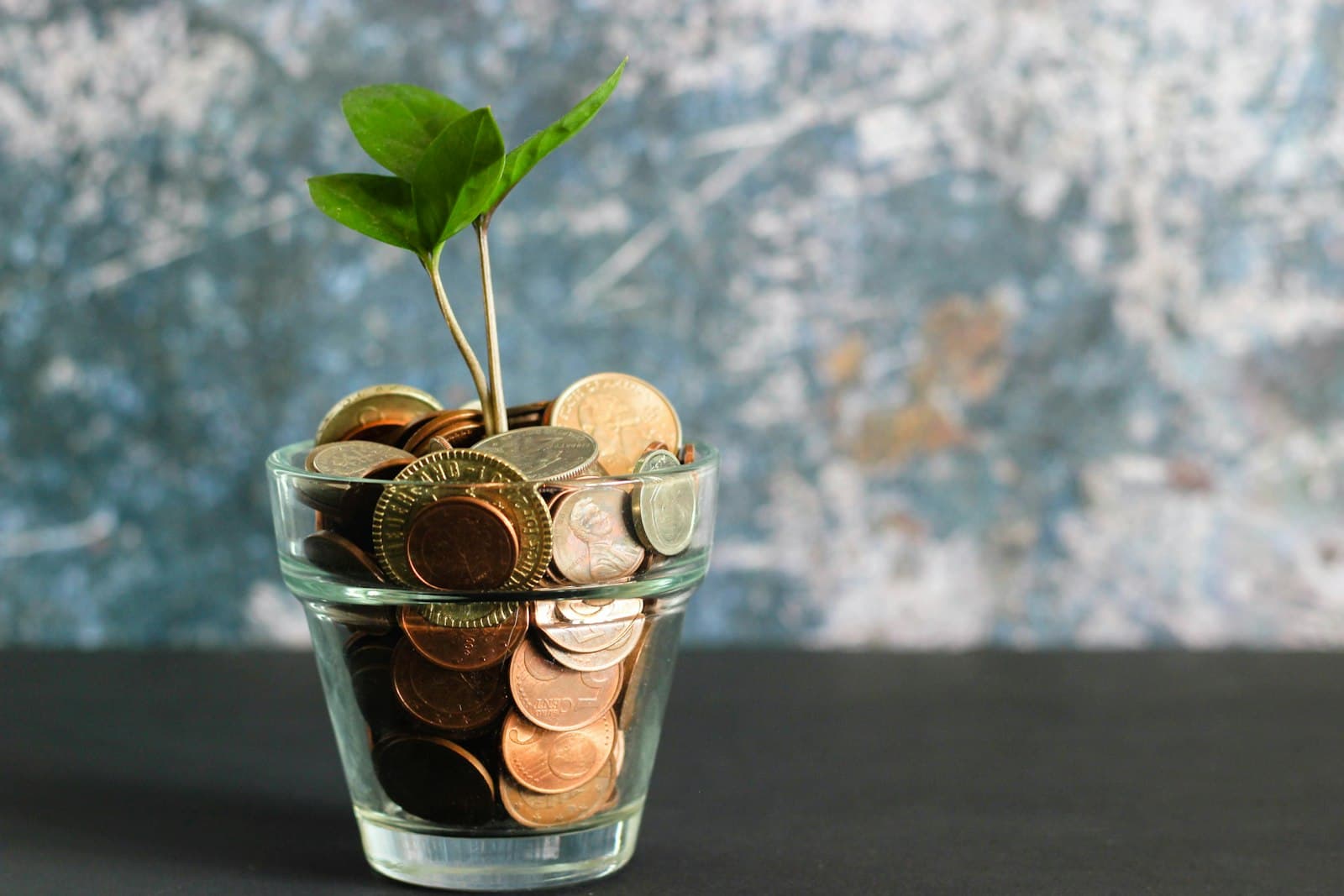 Pot en verre rempli de pièces de monnaie avec une jeune pousse, épargne et trésorerie.